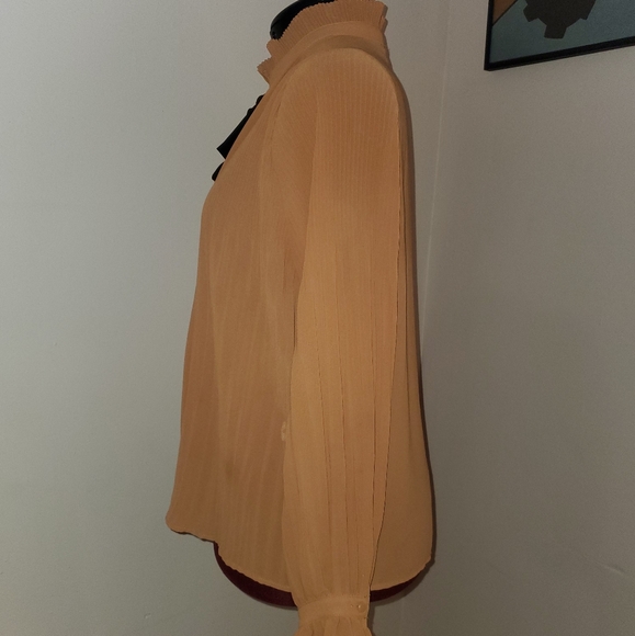 Butternut squash blouse - Picture 2 of 3